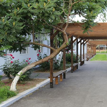 Hanul Piratilor Camping Village Năvodari Eksteriør bilde